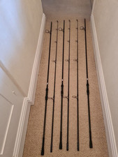 Free spirit carp for sale  SUTTON COLDFIELD