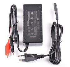 Caricabatteria per batterie usato  Vetto