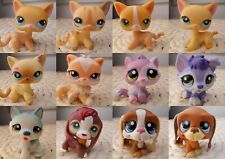 Petshop authentic lps d'occasion  Expédié en Belgium