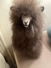 Peruvian alpaca llama for sale  Palm Beach Gardens