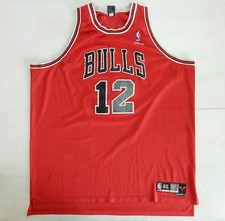 Chicago bulls hinrich usato  Portici