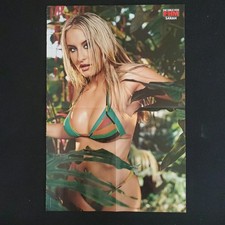 Fhm erotische beilage gebraucht kaufen  Hohen Neuendorf