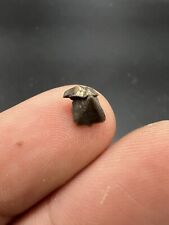 Nautile beak from d'occasion  Expédié en Belgium