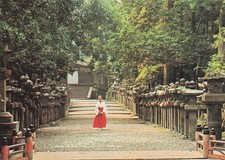 Japon nara kasuga d'occasion  France