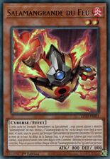 Deck salamangrande français d'occasion  Bourges