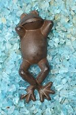 Frosch gusseisen deco gebraucht kaufen  Osterrönfeld