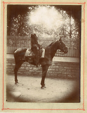Officer horseback citrate d'occasion  Expédié en Belgium