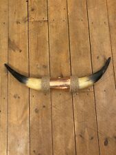 Cow horns for sale  CHESTERFIELD