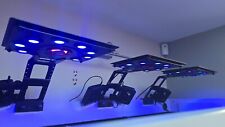 Maxspect ethereal reef for sale  BLANDFORD FORUM