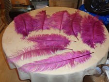 Dark fuchsia spadone for sale  CANVEY ISLAND