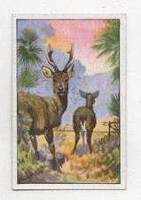 184 sammelbild selbstschuß gebraucht kaufen  Prösen