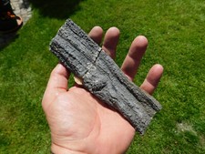 Top versteinertes holz gebraucht kaufen  Limbach-Oberfrohna