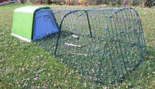 omlet rabbit hutch for sale omlet rabbit hutch for sale HEREFORD