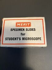 Vintage merit specimen for sale  BANBURY