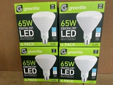 Greenlite br30 floodlight for sale  Channahon