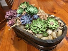 Stampin stempelset succulent gebraucht kaufen  Nesse-Apfelstädt, Nottleben