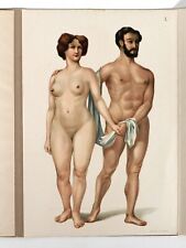 anatomische lehrtafeln gebraucht kaufen anatomische lehrtafeln gebraucht kaufen Bubenheim, Essenheim, Zornheim