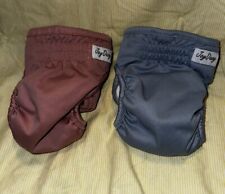Joy daog small for sale  Lawrenceville