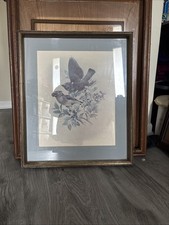 Hummingbird painting colorful for sale  Kingsland