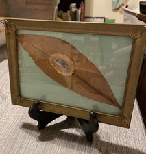 Original framed art for sale  Harrison