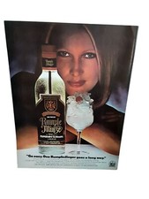 1981 rumple minze for sale  Wilmington