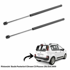 Molle gas pistoni usato  Italia