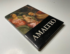 Amalteo cura luigi usato  Polcenigo