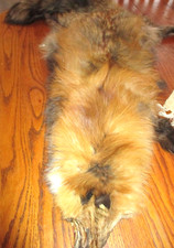 Beautiful red brown for sale  Littleton