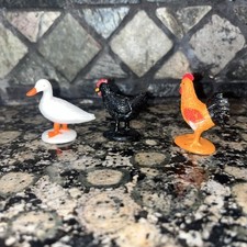 Hen duck rooster for sale  Buhl