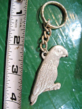 Love african greys for sale  Rochester