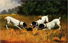 CPA AK Jack Russel terrier DOGS (745970), usado comprar usado  Enviando para Brazil
