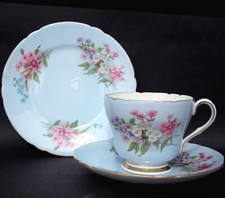 Shelley stocks pattern for sale  UK