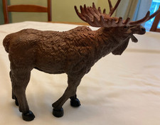 bc moose for sale bc moose for sale Winsted