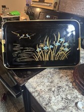 Vintage iris flowers for sale  West Frankfort
