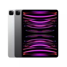 Apple iPad Pro 6 12,9" (2022) M2 cinza prata todo armazenamento Wi-Fi ou celular - Bom comprar usado  Enviando para Brazil