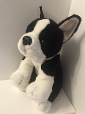 Jackson boston terrier for sale  LIVERPOOL