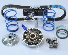 Kit variatore polini usato  Napoli