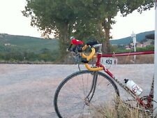 Preziosi bicicletta epoca usato  Assisi