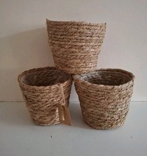 Natural indoor plant for sale  WORCESTER