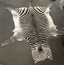Real taxidermy zebra for sale  LONDON