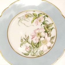 Limoge porcelain plate d'occasion  Expédié en Belgium