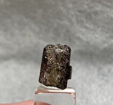 Small loose neptunite for sale  Monterey