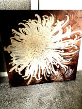 Large spider chrysanthemum for sale  NORTHAMPTON