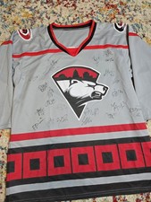 Charlotte checkers ahl for sale  Jackson