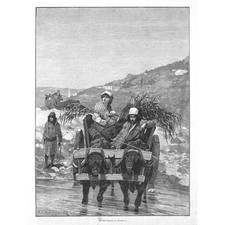 Carrinho de boi RUMELIA nas planícies - Estampa antiga 1885 comprar usado  Enviando para Brazil