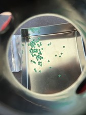 Smeraldo rotondo gemma usato  Sinopoli