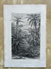 Antique engraved illustration for sale  HORNCASTLE
