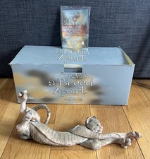 Cleo cat breed for sale  LONDON