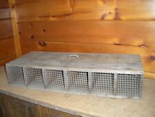 Vintage live pigeon for sale  Bethel