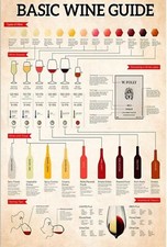 Basic wine guide for sale  Flushing
